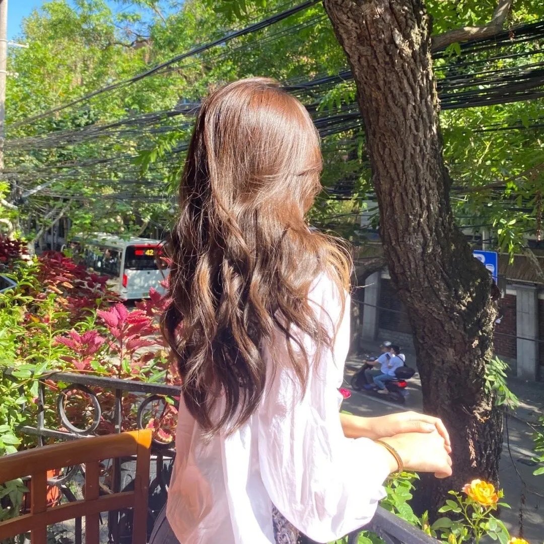 今晚不要让我们去打狗